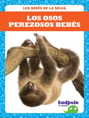 cover image of Los osos perezosos bebés (Sloth Babies)